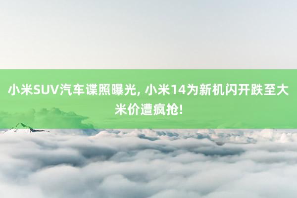 小米SUV汽车谍照曝光, 小米14为新机闪开跌至大米价遭疯抢!