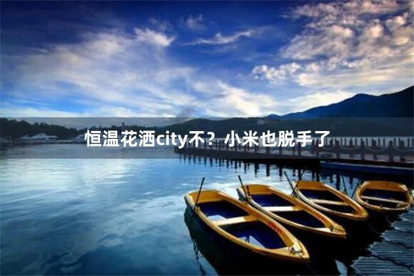 恒温花洒city不?小米也脱手了