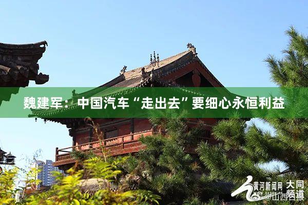 魏建军：中国汽车“走出去”要细心永恒利益